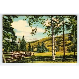 Beautiful Vista Gray Rock Peak Mountains Colorado Linen Postcard Vintage Card